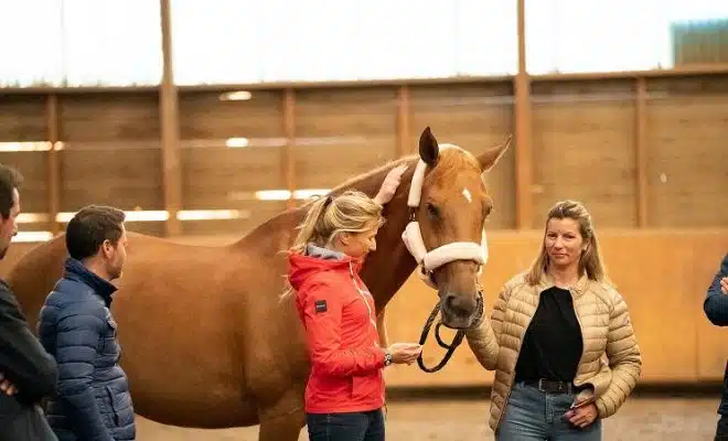 Equicoaching qu'est-ce que c'est et à quoi ça sert