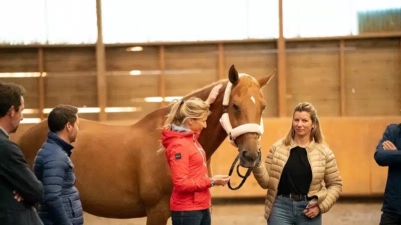 Equicoaching qu'est-ce que c'est et à quoi ça sert
